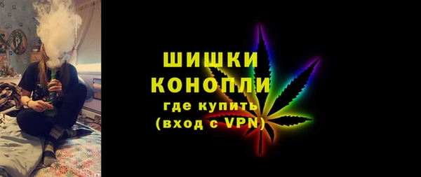 ECSTASY Елизово