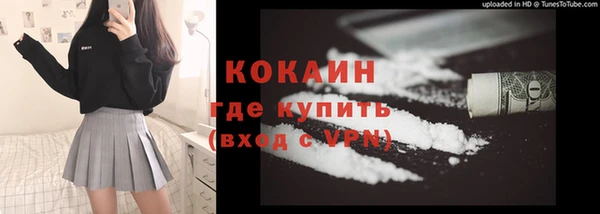 молекула духа Богданович