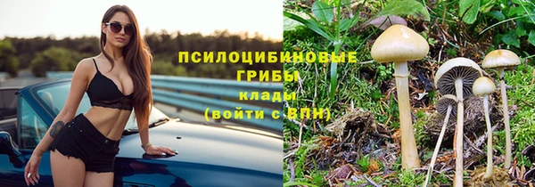 гидра Бородино