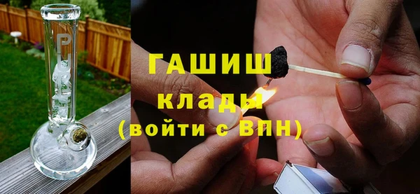 гидра Бородино