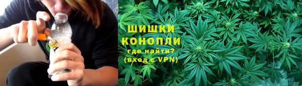 гидра Бородино
