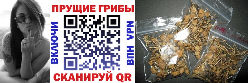 МЕГА ONION  Красновишерск  Псилоцибиновые грибы Magic Shrooms 